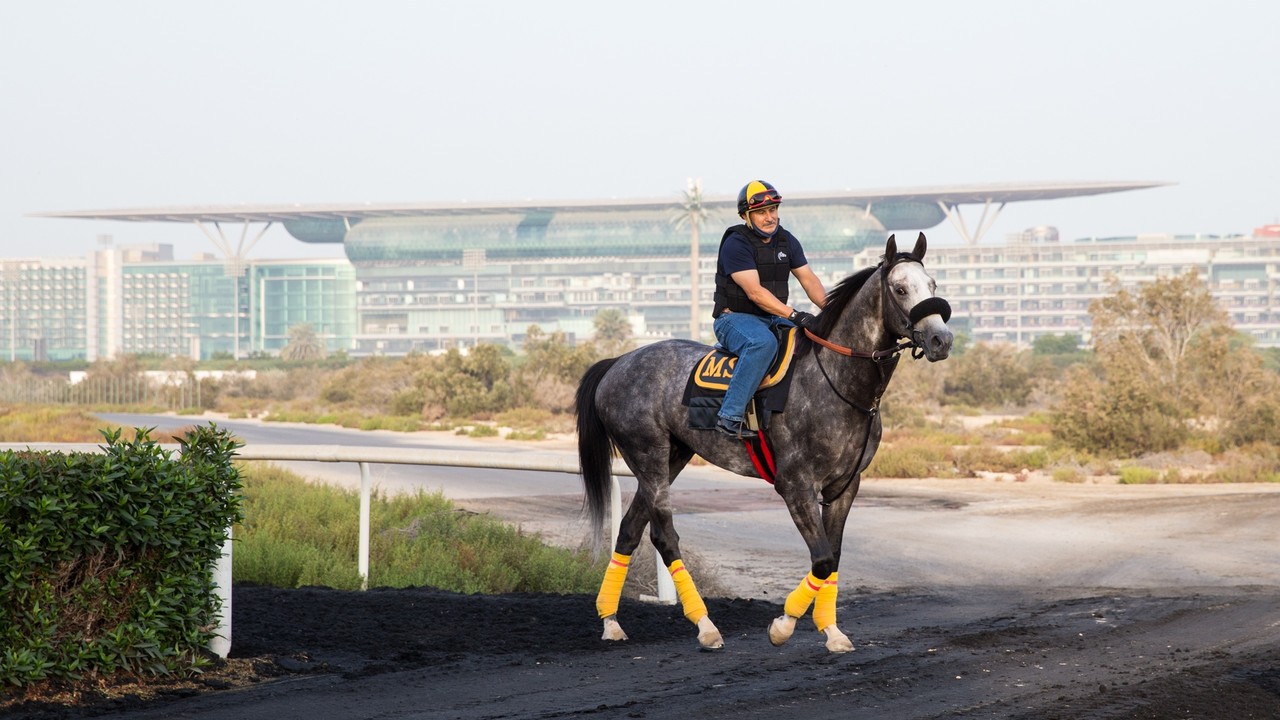 Stage Is Set For Historic 25th Dubai World Cup Image 2